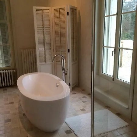 Chateau Charbontiere לינה וארוחת בוקר Sers (Charente)