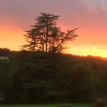 Chateau Charbontiere Sers (Charente)